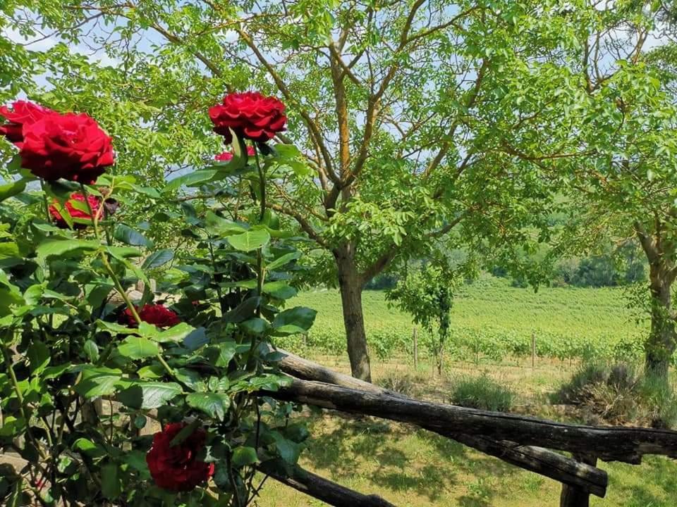 Cascina Valtignosa Camere Con Vigna Cassine Zewnętrze zdjęcie
