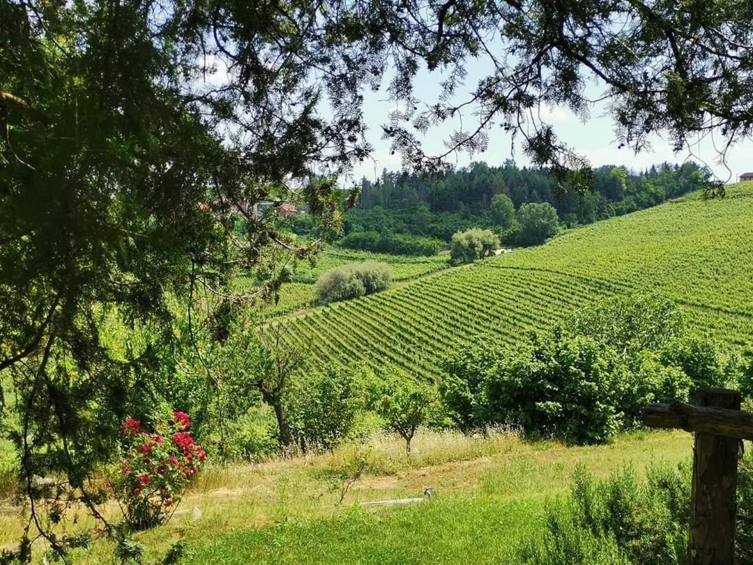 Cascina Valtignosa Camere Con Vigna Cassine Zewnętrze zdjęcie