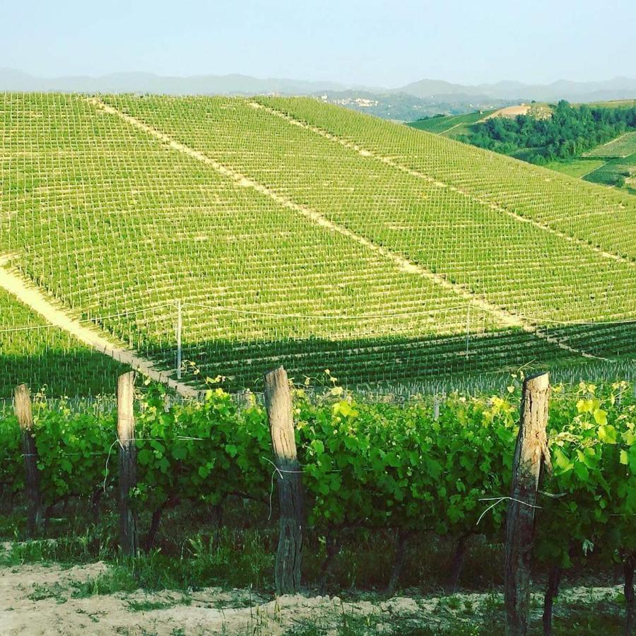 Cascina Valtignosa Camere Con Vigna Cassine Zewnętrze zdjęcie