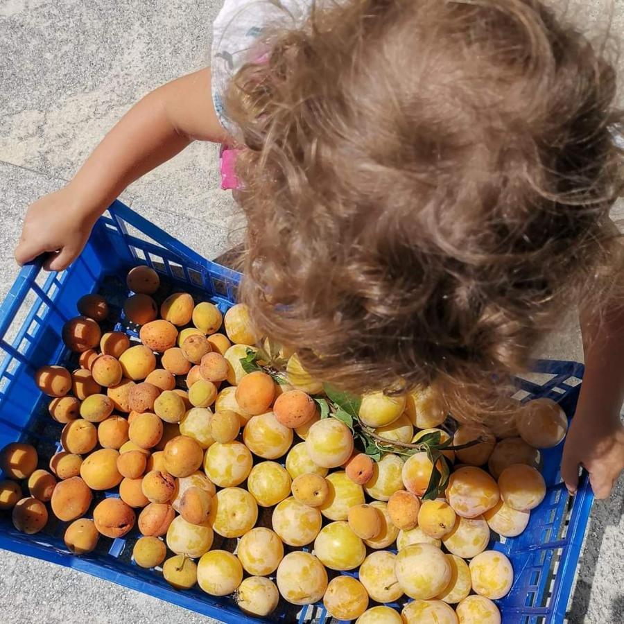 Cascina Valtignosa Camere Con Vigna Cassine Zewnętrze zdjęcie
