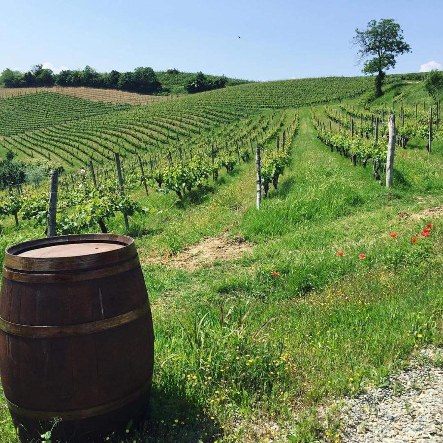 Cascina Valtignosa Camere Con Vigna Cassine Zewnętrze zdjęcie