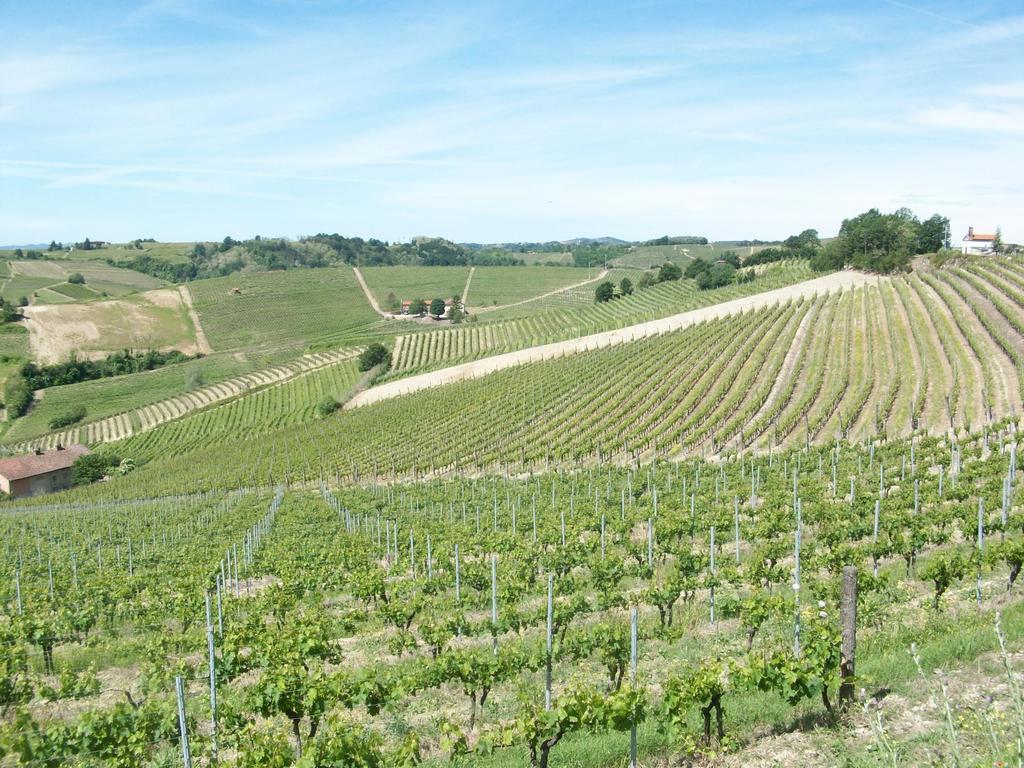 Cascina Valtignosa Camere Con Vigna Cassine Zewnętrze zdjęcie
