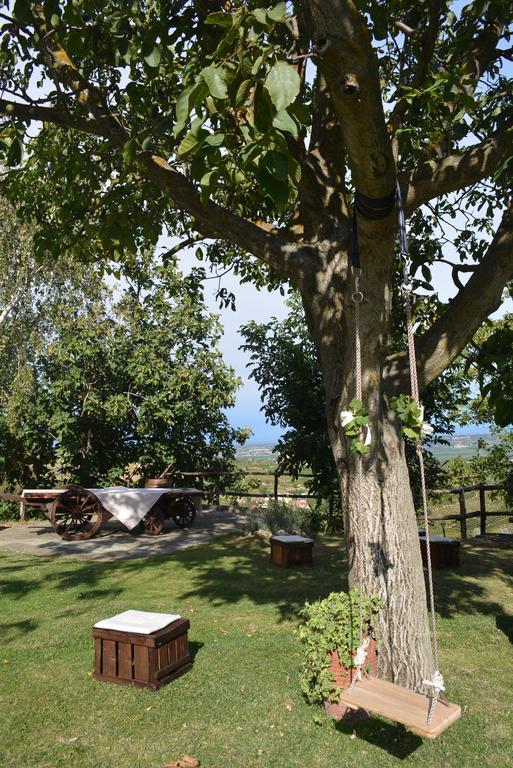 Cascina Valtignosa Camere Con Vigna Cassine Zewnętrze zdjęcie
