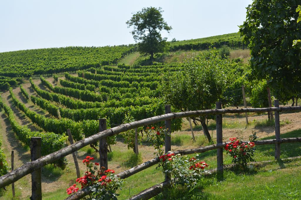 Cascina Valtignosa Camere Con Vigna Cassine Zewnętrze zdjęcie