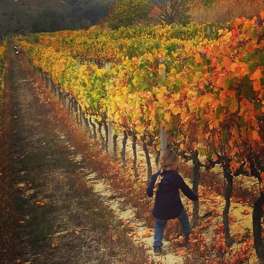 Cascina Valtignosa Camere Con Vigna Cassine Zewnętrze zdjęcie