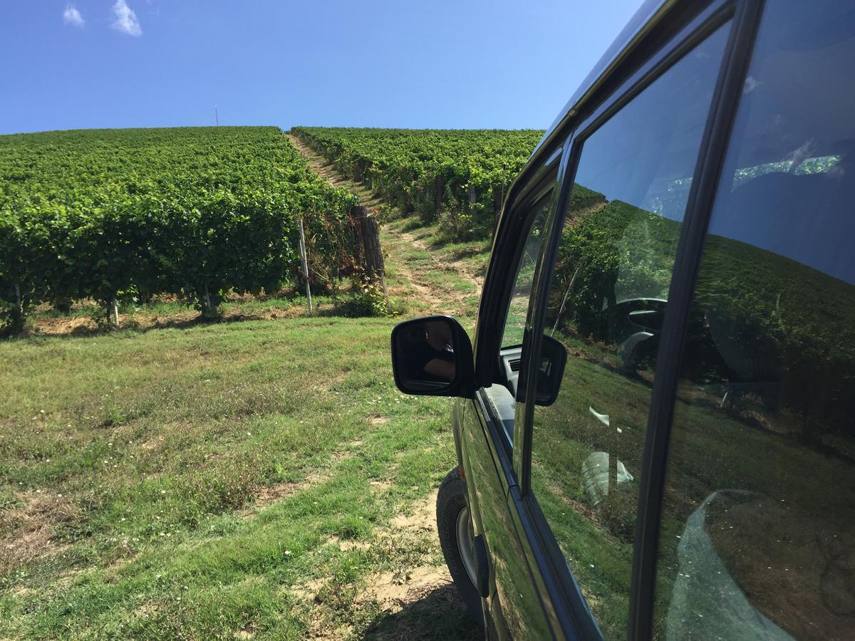 Cascina Valtignosa Camere Con Vigna Cassine Zewnętrze zdjęcie